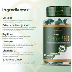 3 Potes Natural Fit Tradicional- 90 dias na internet