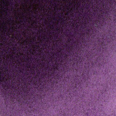 Roxo ameixa - aquarela de linha profissional