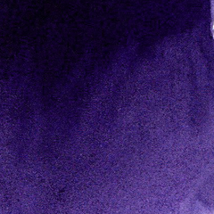 Violeta azulado Berry - aquarela de linha profissional