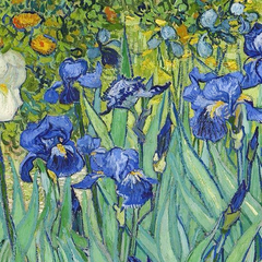 Tote Bag Van Gogh Paperblanks