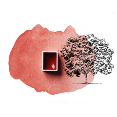 Vermelho Pau Brasil aquarela de origem vegetal - linha profissional - comprar online