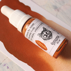 Imagem do Kit de aquarelas fluidas cores Terrosas