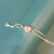 Pulsera plateada doble Corazón Francisca cubic