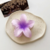 Broche para cabello - Flor Hawaiana Kalani - Merlina Tiendita