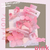 Set de Broches para Cabello x8 piezas Victoria - Merlina Tiendita