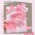 Set de Broches para Cabello x8 piezas Victoria - Merlina Tiendita