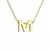 Collar de Iniciales - Acero de titanio