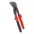 Pinza pico de loro 10 W034
