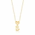 Colar Pet Banhado a Ouro 18K