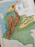 MAPA COLOMBIA FISIOGRAFIA CLIMA Y VEGETACIÓN 36cm x 48cm en internet