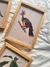 ENMARCADO HOATZIN 23cm x 32cm - comprar online