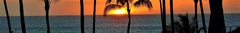 Banner de la categoría Moana