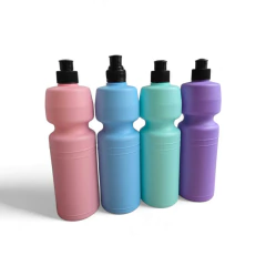 BOTELLA DEPORTIVA 750CC CON PICO