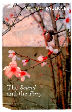 Sound and the Fury, The