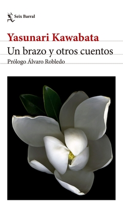 Brazo y otros cuentos, Un