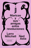 Maricas y sus amigas entre revoluciones en internet