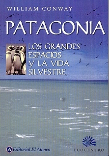 Patagonia
