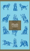 Flush