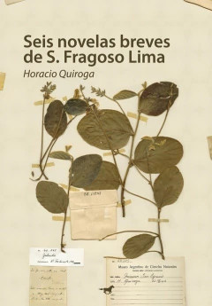SEIS NOVELAS BREVES DE FRAGOSO LIMA
