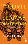 Corte de llamas plateadas, Una