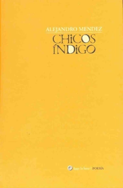 Chicos indigo