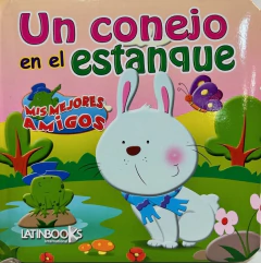 CONEJO EN EL ESTANQUE, UN