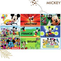 T196 MICKEY