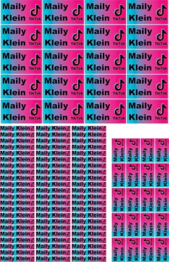 Kit Primaria en internet