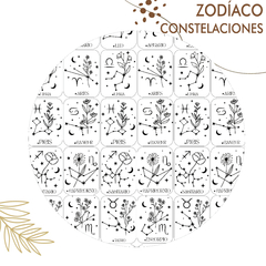 ZODIACO CONSTELACIONES CON FLORES