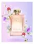 AMOSTRA- Perfume feminino Roja Elixir EDP com 1,7 ml - NICHO