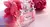 Amostra - Perfume feminino Miss Dior Parfum 2024 com 1 ml - comprar online
