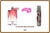 DECANT DE PERFUME IMPORTADO COM 2ML OU 5ML-LA VIE EST BELLE EN ROSE