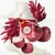 AMOSTRA-Perfume feminino Twilly Tutti de Hermès EDP com 2ml - comprar online