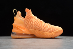 Lebron 18 'Sisterhood' na internet