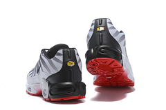 AIR MAX PLUS TN BEFORE