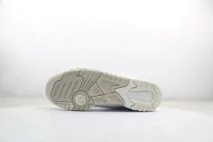 Imagem do NB 550 'Silver Birch'