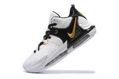 Lebron Witness 7 na internet