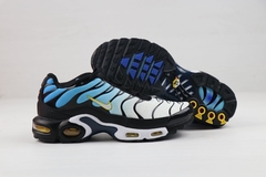 Imagem do AIR MAX PLUS