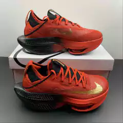 Air Zoom Alphafly Next% 2