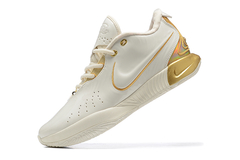 Lebron 21 'White Gold Metallic' on internet
