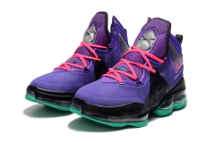 NIKE LEBRON 19 on internet