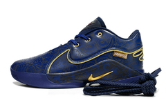 Lebron 22 na internet