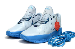 Lebron 21 - Outlet Imports Shoes