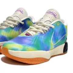 Lebron 21 "Multi-Colors"