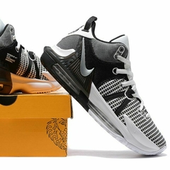 Lebron Witness 7