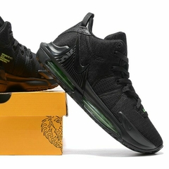 Lebron Witness 7