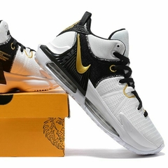 Lebron Witness 7