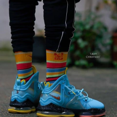 NIKE LEBRON 19