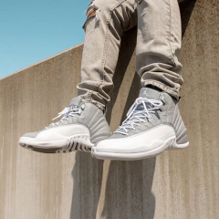 Air Jordan 12 " Stealth"