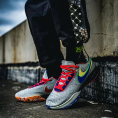 LEBRON 20 "NIKE LIFER"